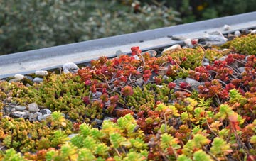 the cost of Revidge green roof installation