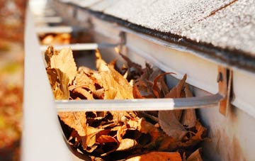 Revidge gutter cleaning companies