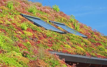 Revidge living roof systems