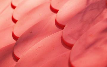 Revidge plastic roof costs