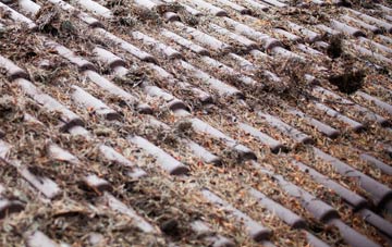 Revidge roof cleaning companies