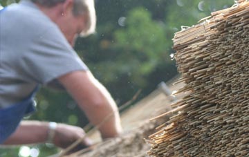 professional Revidge thatchers