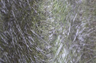 Revidge fibreglass roof work